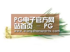 产品名称二