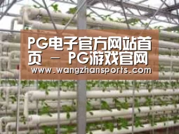 环境展示六