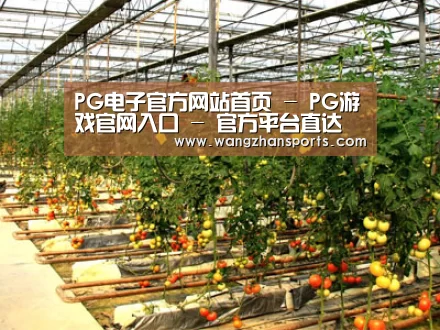 种植基地二