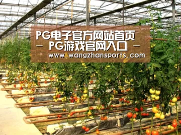 种植基地二(图1)