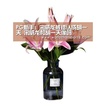 PG新手:宋威龙被错认成胡一天 宋威龙和胡一天像吗(图3) PG试玩