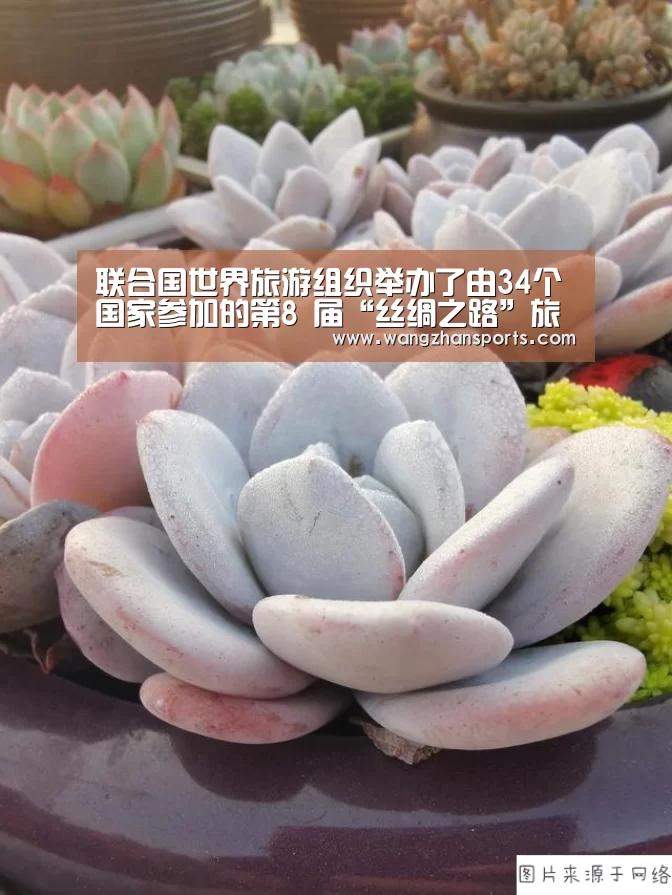 联合国世界旅游组织举办了由34个国家参加的第8 届“丝绸之路”旅游部长会议-PG试玩(图1) PG模拟器