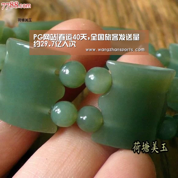 PG网站|春运40天,全国旅客发送量约29.7亿人次(图3) PG试玩