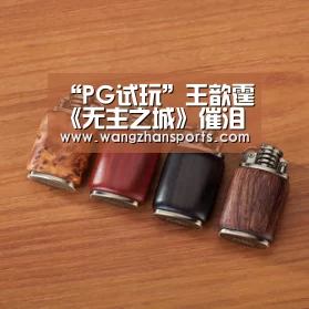 “PG试玩”王歆霆《无主之城》催泪收官 观众买账小哭包(图2) PG新手