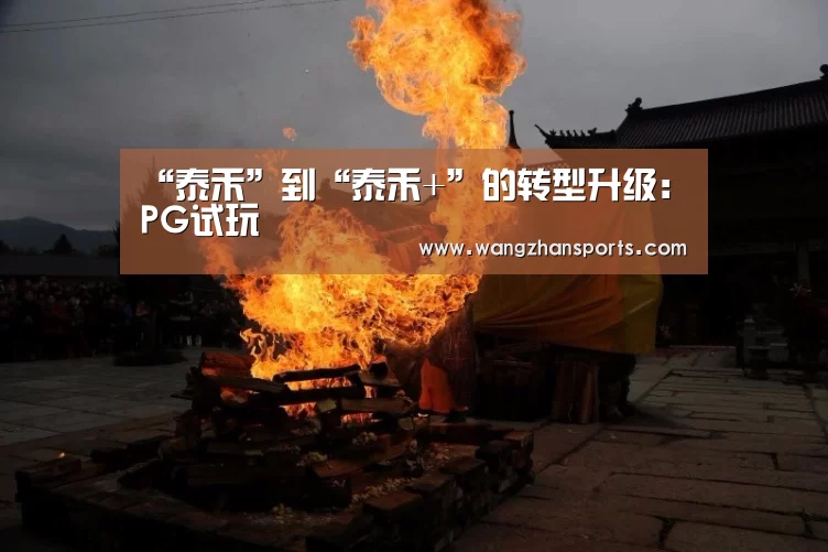 “泰禾”到“泰禾+”的转型升级:PG试玩(图4) PG试玩