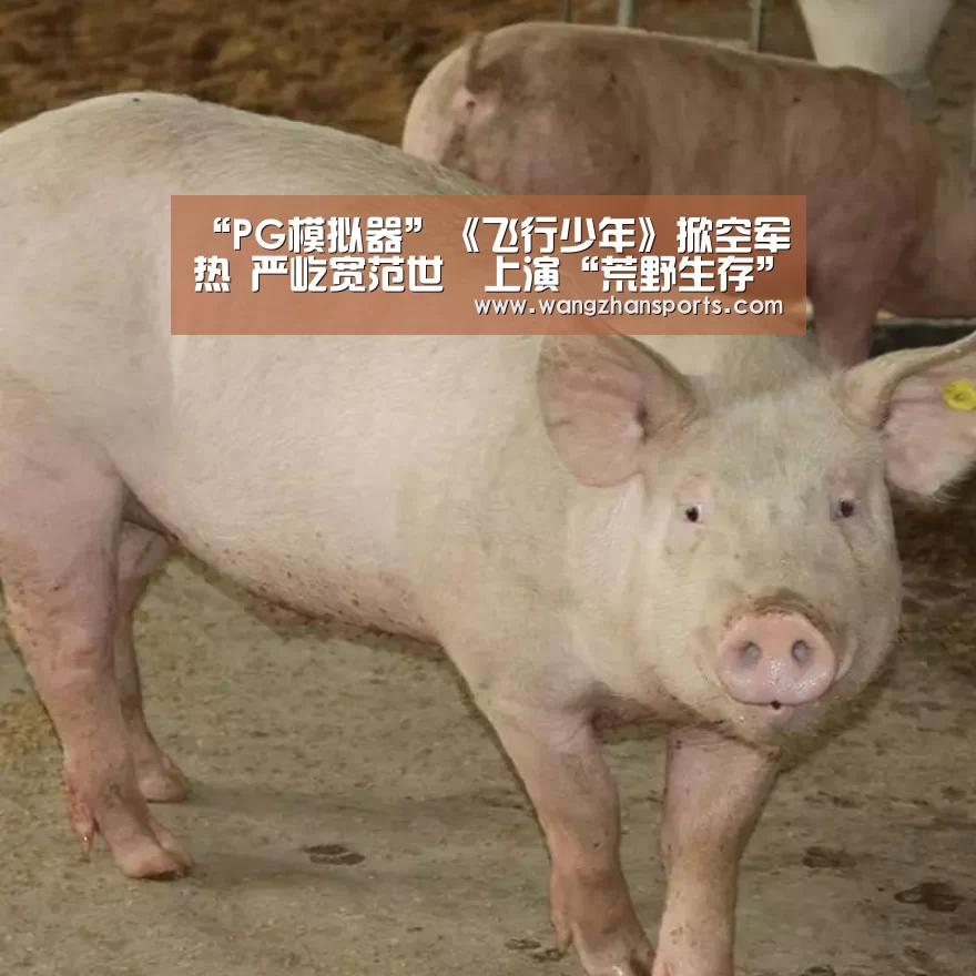 “PG模拟器”《飞行少年》掀空军热 严屹宽范世錡上演“荒野生存”(图4) PG试玩